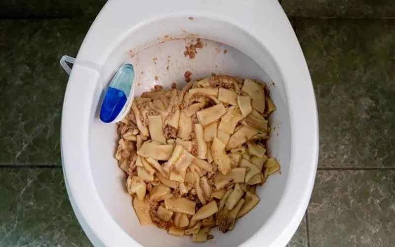 wc bouché, rien jeter dans les toilettes