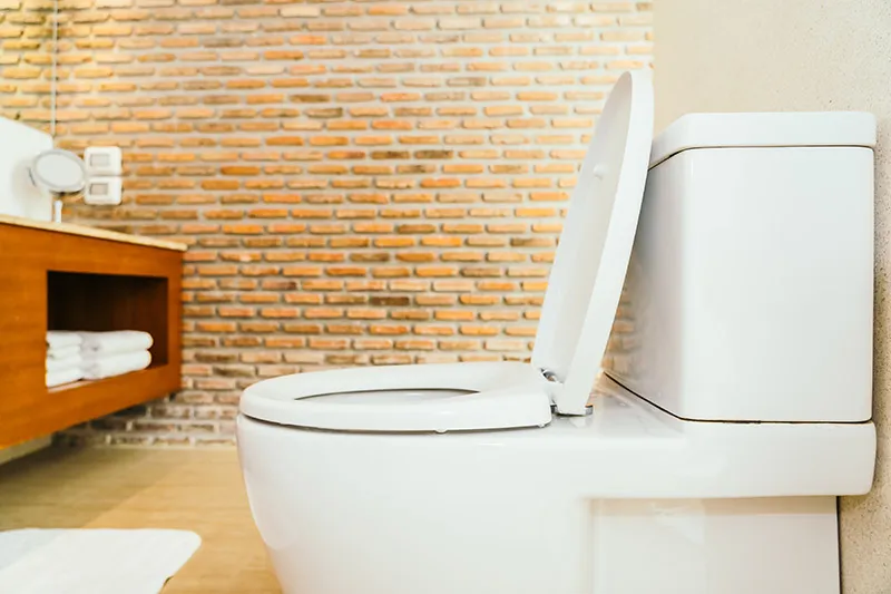 Quel WC Grohe choisir ?